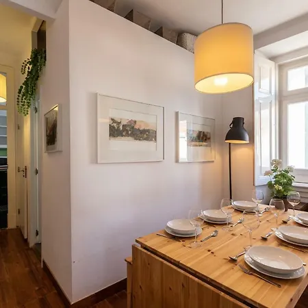 Stylish For Travelers - Bp2