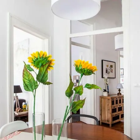 Stylish For Travelers - Bp2 Lisbon