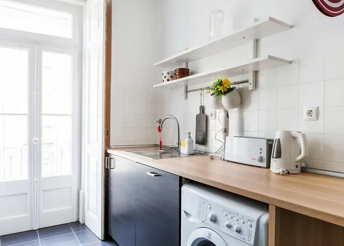 Stylish For Travelers - Bp2