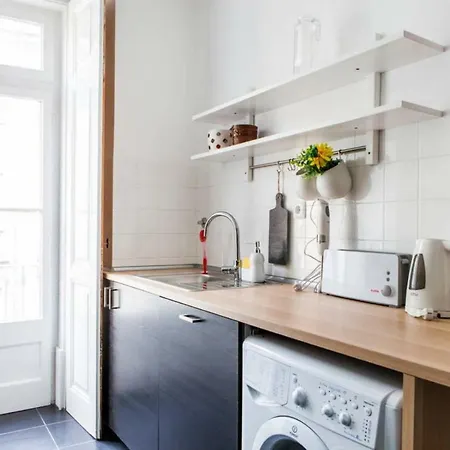 Stylish For Travelers - Bp2